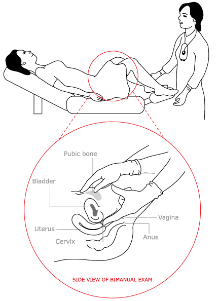 Where To Put Penis During Sex 37