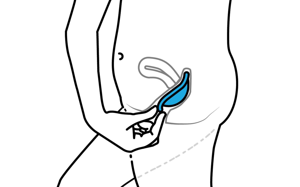 Image result for diaphragm